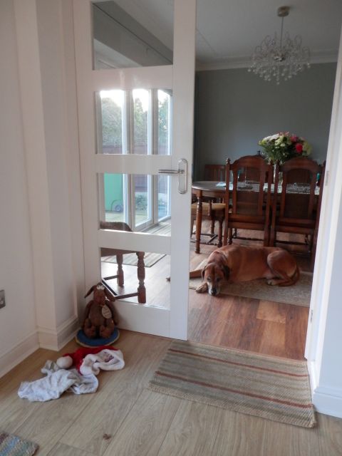 Louis keeping a close eye on what's going on.
