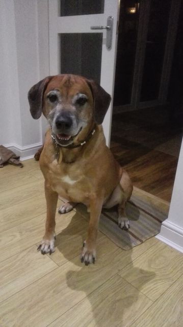 NIne Years Old!